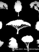 dxf_files_trees_plasma_cutting_for_sale