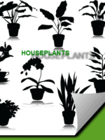 houseplants_canstock_el